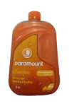 Dry Hair Shampoo (2 L)